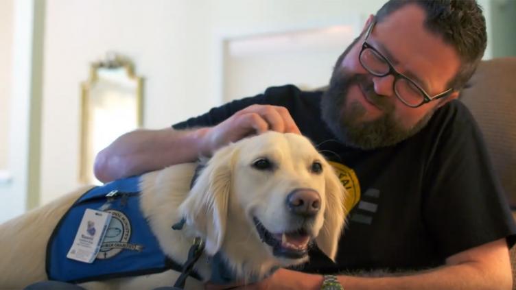 For What You Do: Naomi Comfort Dog